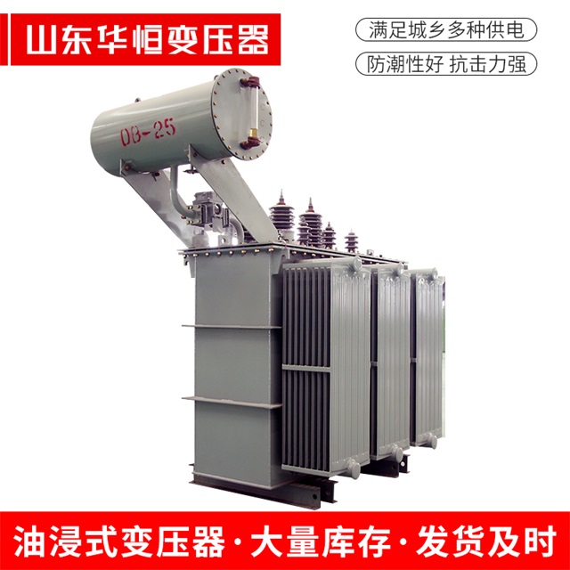 S11-10000/35双桥双桥双桥电力变压器厂家
