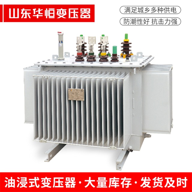 S13-10000/35双桥双桥双桥电力变压器